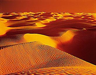 模拟经营卡牌游戏《保证不取物》现已上线Steam平台 2025年第三季度推出